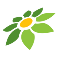MOD APK TERBARU